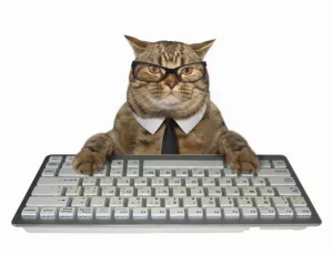 Cat on keyboard
